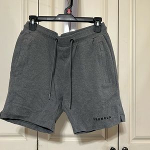 Young LA Large Grey Shorts